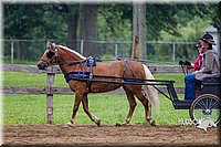 4H-2nd--072813-1552.jpg