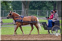 4H-2nd--072813-1553.jpg