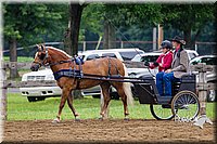 4H-2nd--072813-1555.jpg