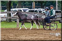 4H-2nd--072813-1558.jpg