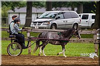 4H-2nd--072813-1560.jpg