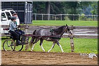 4H-2nd--072813-1562.jpg