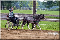 4H-2nd--072813-1563.jpg