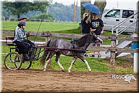 4H-2nd--072813-1564.jpg