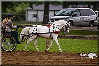 4H-2nd--072813-1565.jpg