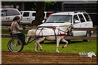 4H-2nd--072813-1566.jpg