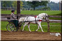 4H-2nd--072813-1567.jpg