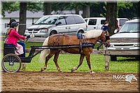 4H-2nd--072813-1568.jpg