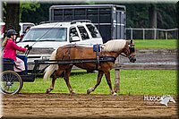 4H-2nd--072813-1569.jpg
