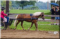 4H-2nd--072813-1570.jpg