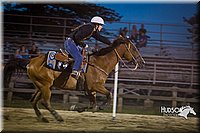 4H-2nd--072813-0783.jpg