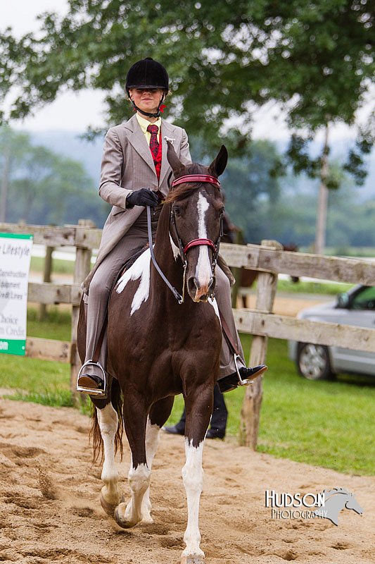 4H-2nd--072813-2759.jpg