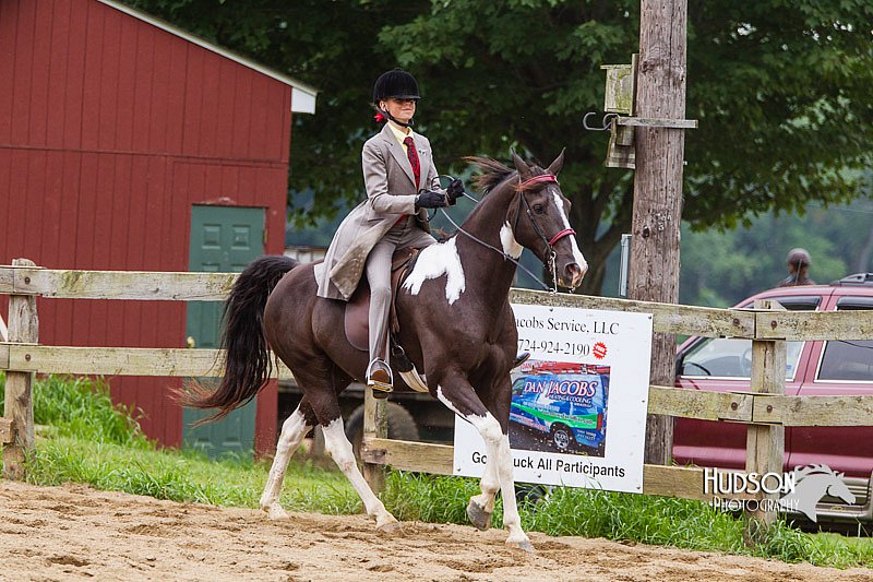 4H-2nd--072813-2762.jpg