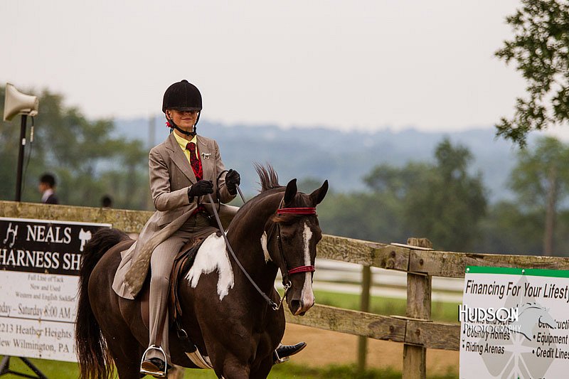 4H-2nd--072813-2763.jpg