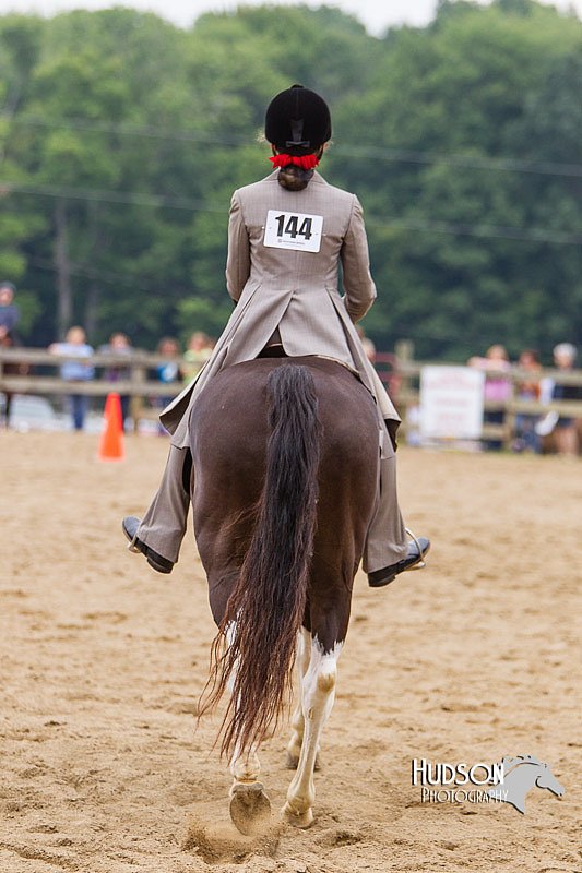 4H-2nd--072813-2766.jpg