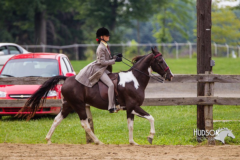 4H-2nd--072813-2611.jpg