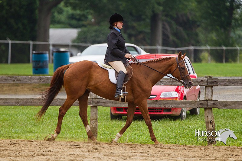 4H-2nd--072813-2731.jpg