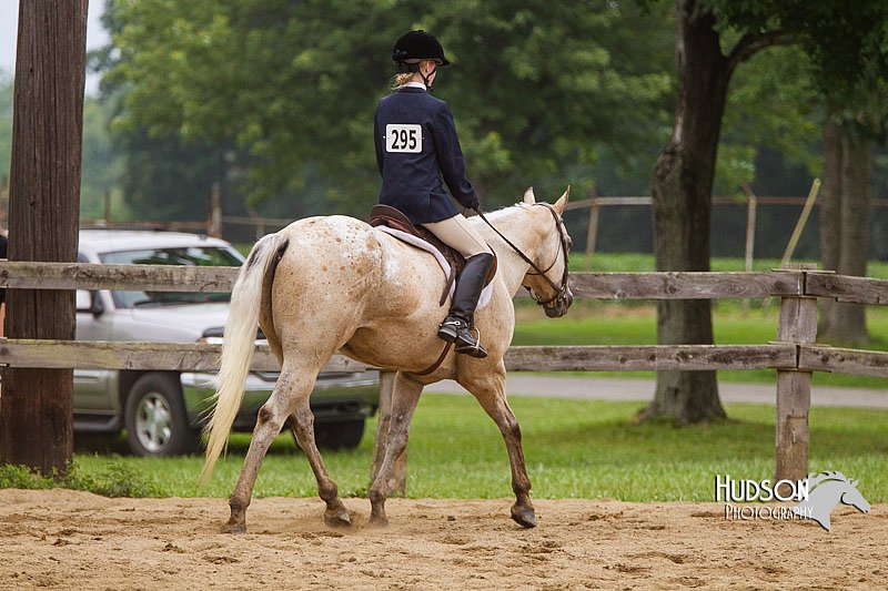 4H-2nd--072813-2732.jpg