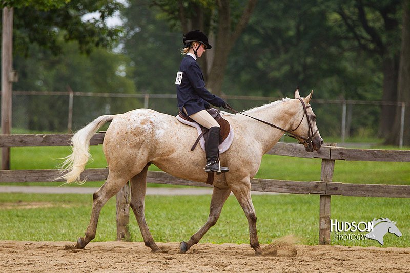 4H-2nd--072813-2733.jpg