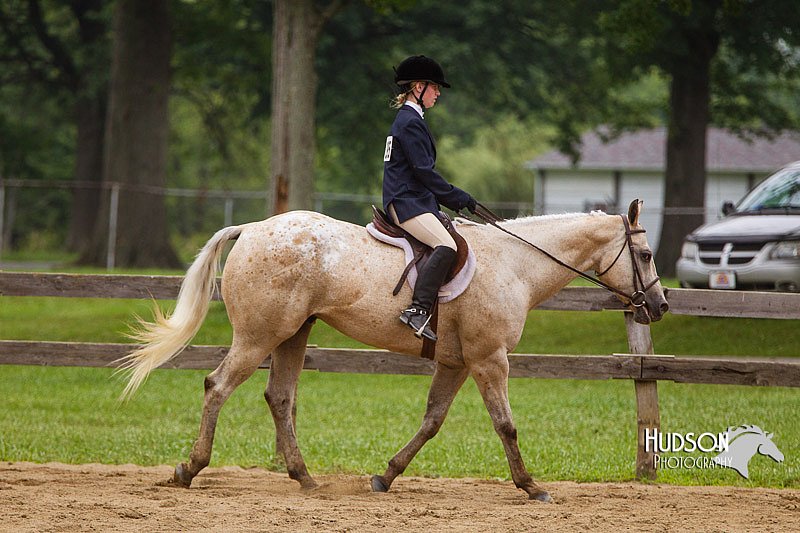 4H-2nd--072813-2734.jpg