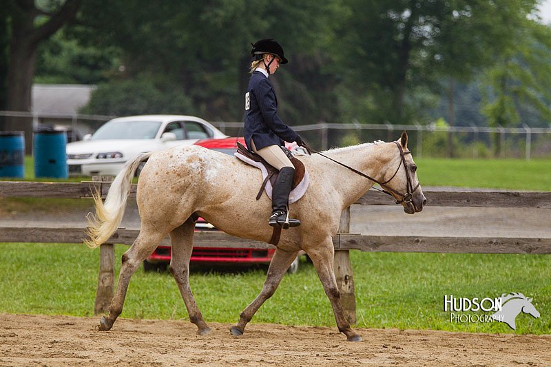 4H-2nd--072813-2736.jpg