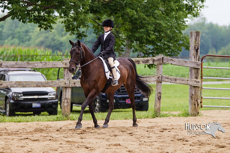4H-2nd--072813-2701.jpg