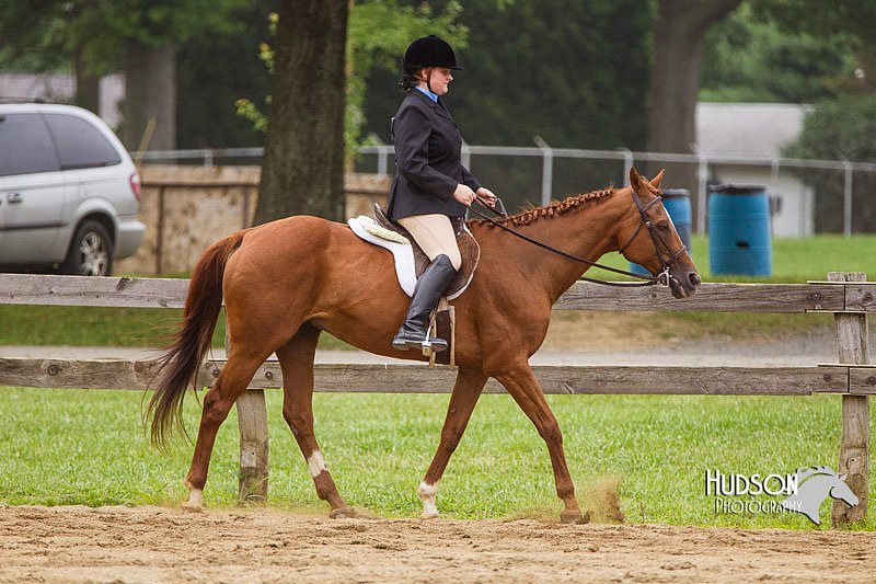 4H-2nd--072813-2355.jpg