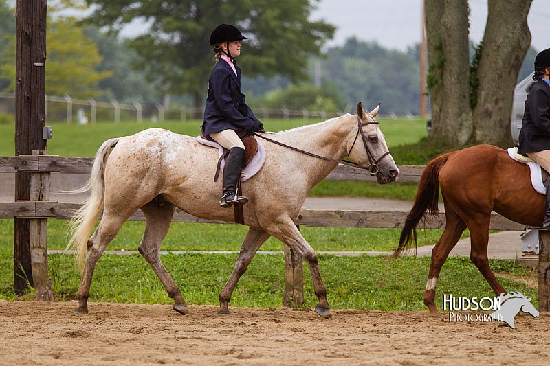 4H-2nd--072813-2358.jpg