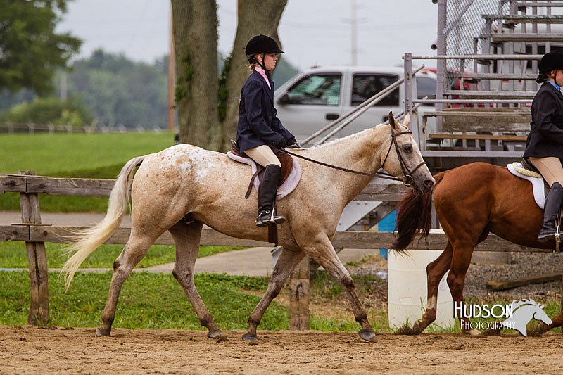 4H-2nd--072813-2359.jpg