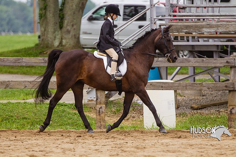 4H-2nd--072813-2333.jpg