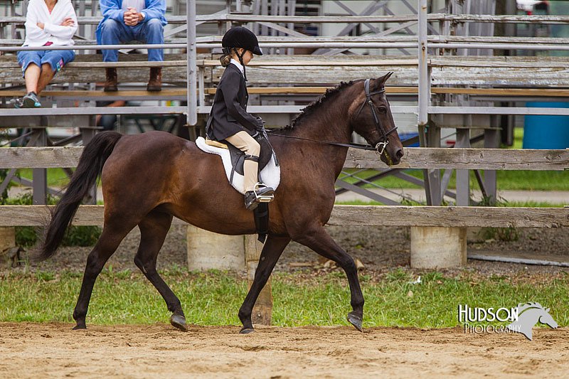 4H-2nd--072813-2334.jpg
