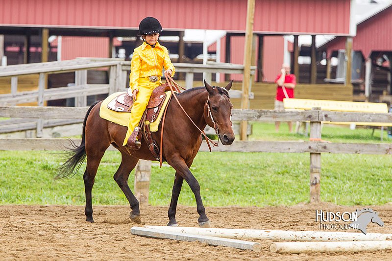 4H-2nd--072813-1718.jpg