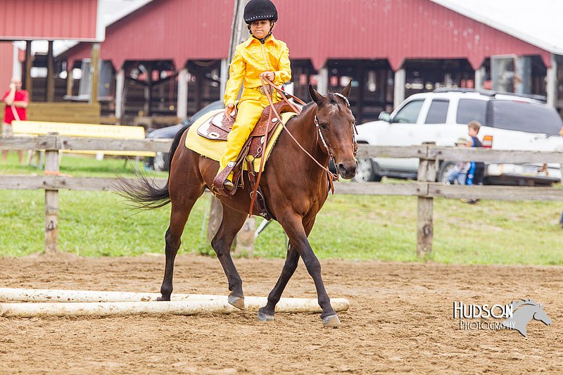 4H-2nd--072813-1720.jpg