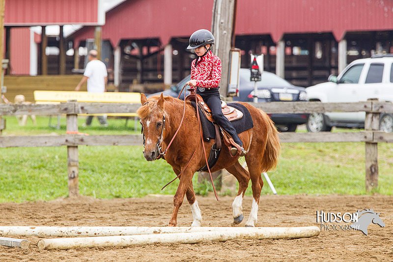 4H-2nd--072813-1732.jpg