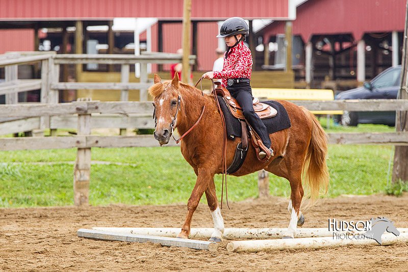 4H-2nd--072813-1734.jpg