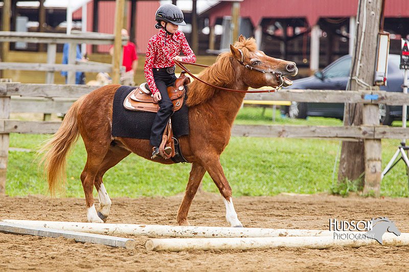 4H-2nd--072813-1735.jpg