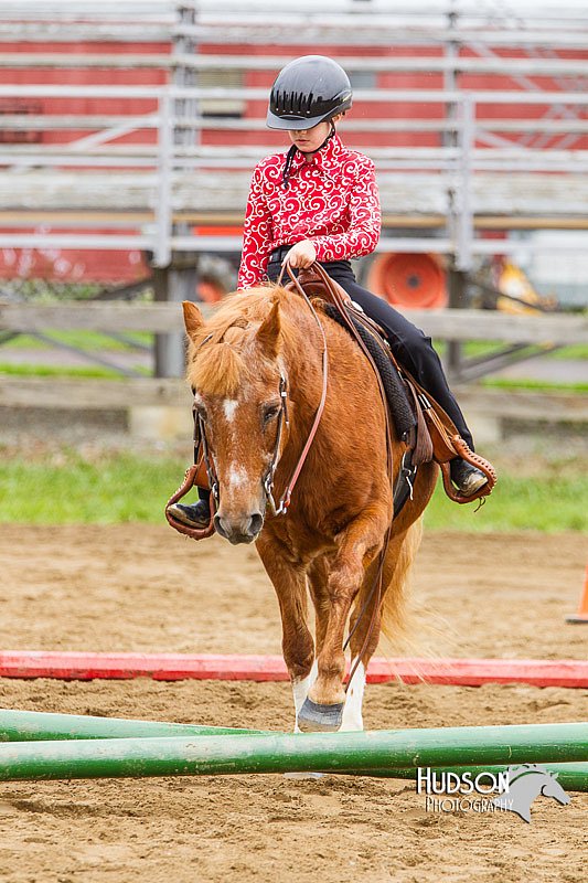 4H-2nd--072813-1740.jpg