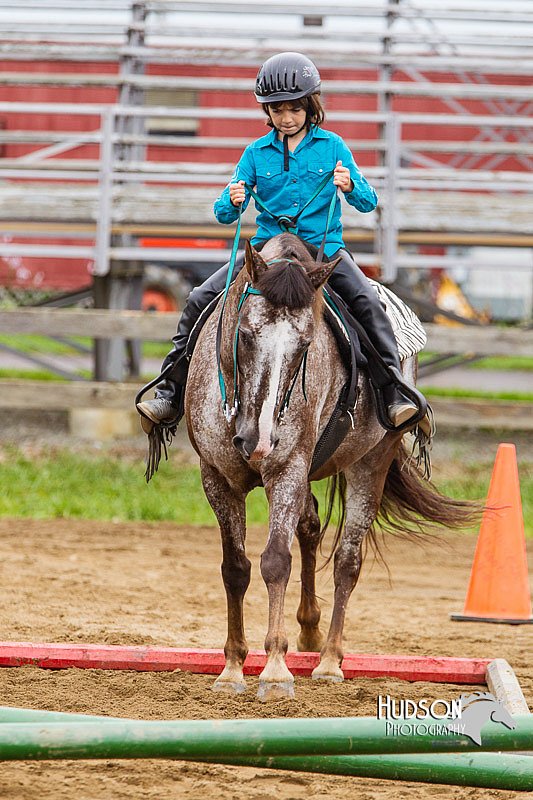 4H-2nd--072813-1759.jpg