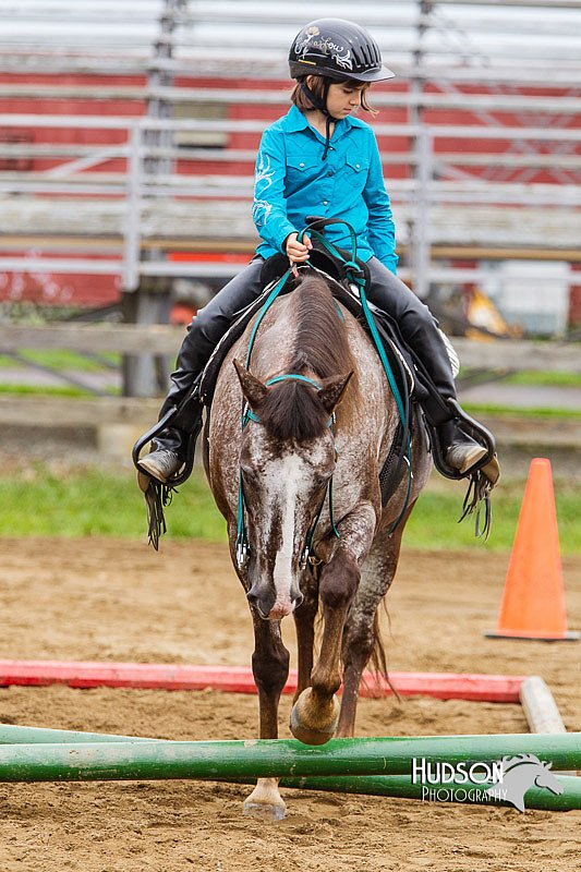 4H-2nd--072813-1760.jpg