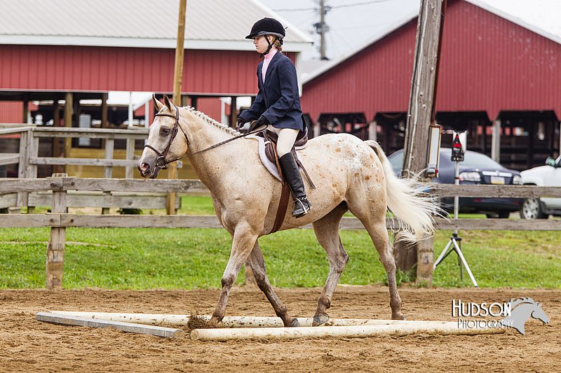 4H-2nd--072813-1785.jpg