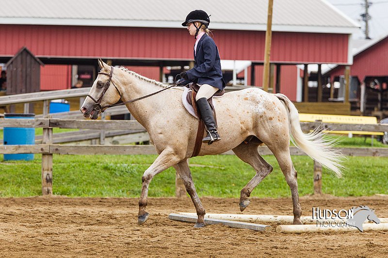 4H-2nd--072813-1786.jpg