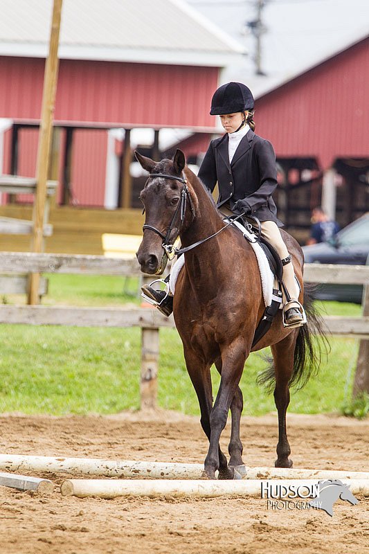 4H-2nd--072813-1796.jpg