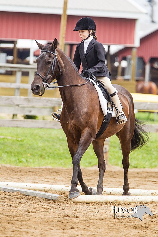 4H-2nd--072813-1797.jpg