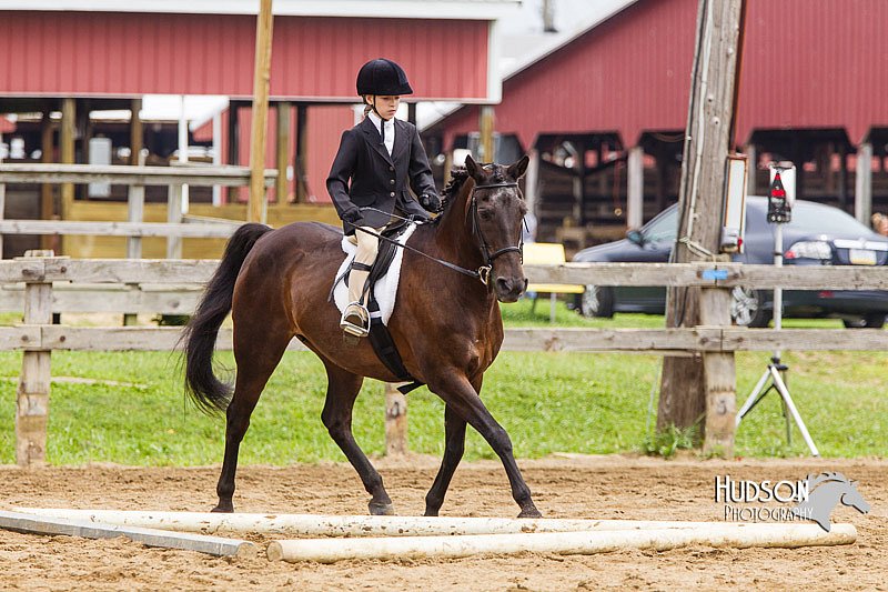4H-2nd--072813-1798.jpg