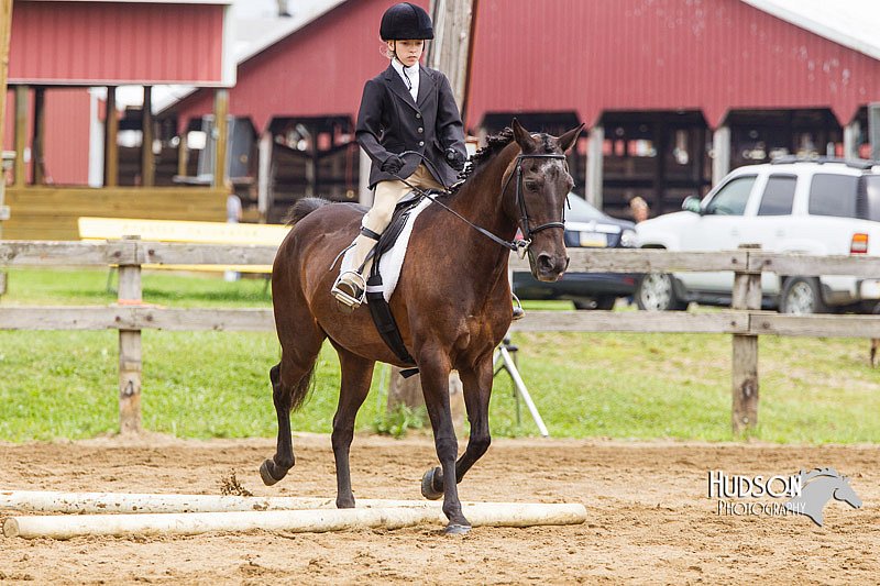 4H-2nd--072813-1799.jpg