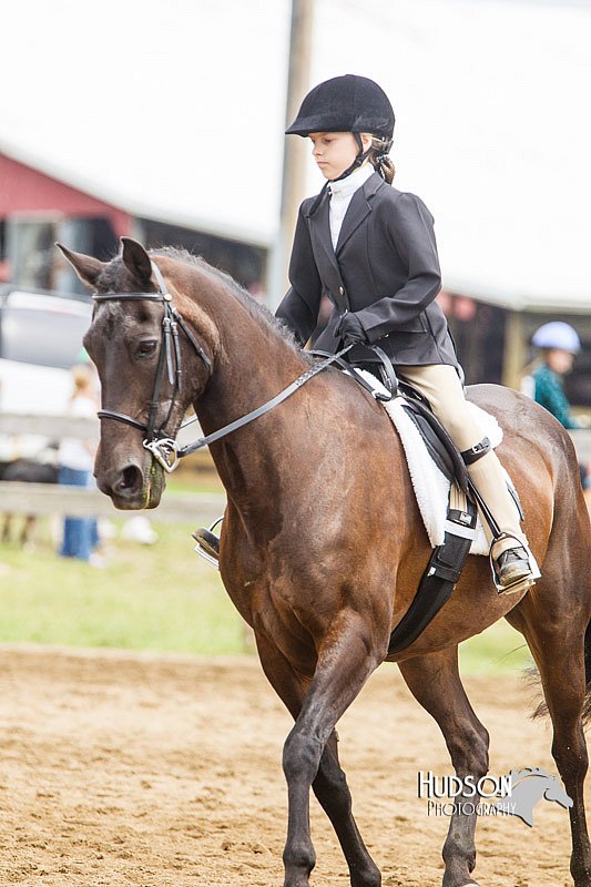 4H-2nd--072813-1800.jpg