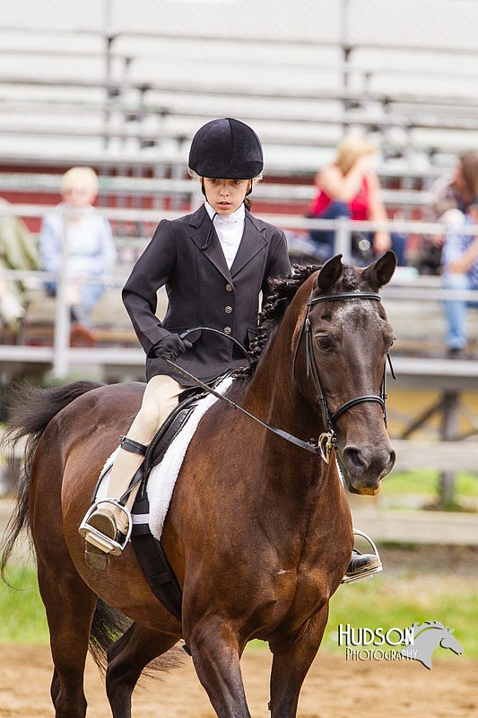 4H-2nd--072813-1801.jpg