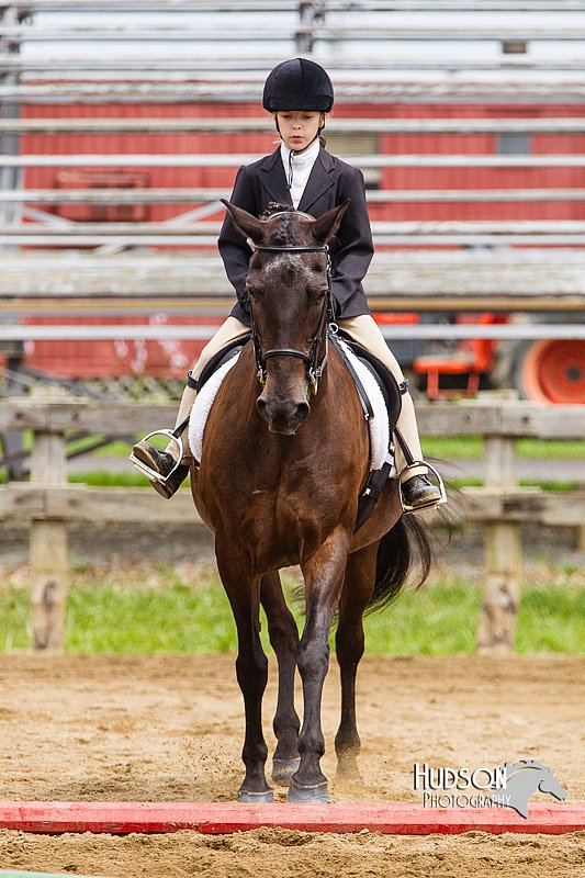 4H-2nd--072813-1802.jpg