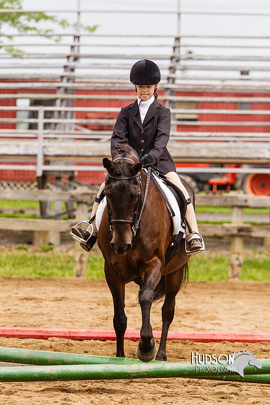 4H-2nd--072813-1803.jpg