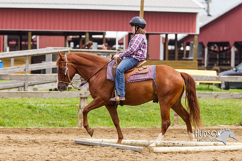 4H-2nd--072813-1808.jpg
